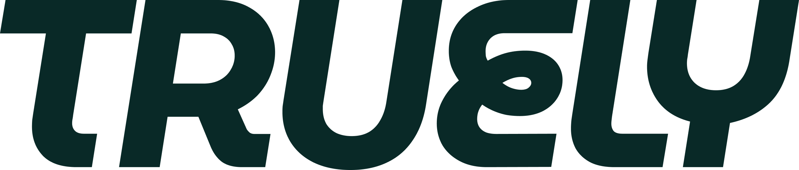 Logo Footer